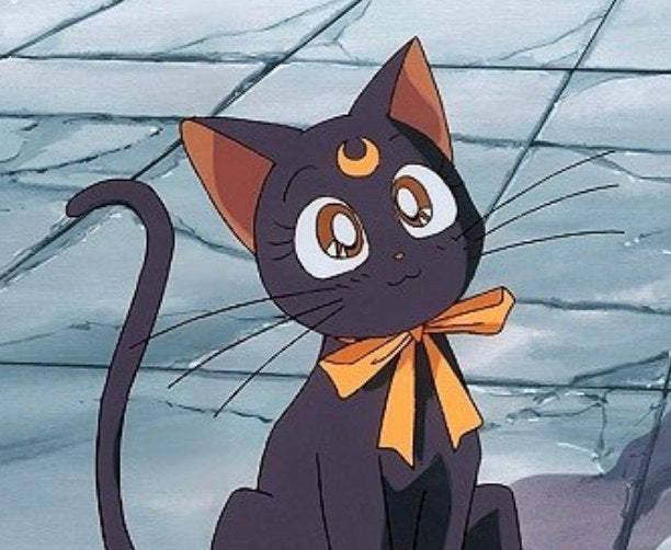Anime Embroidery Sailor Moon Cat Luna A G E Store anime Patterns