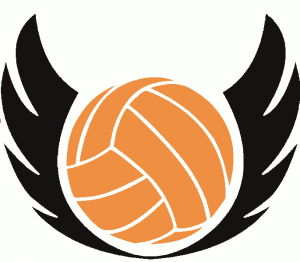 Anime Embroidery Haikyuu Karasuno Logo A G E Store Anime Patterns